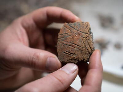 Discovery sheds light on why Pacific islands were colonised