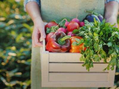 Female hands hold a box with fresh vegetables and herbs. Organic farm products